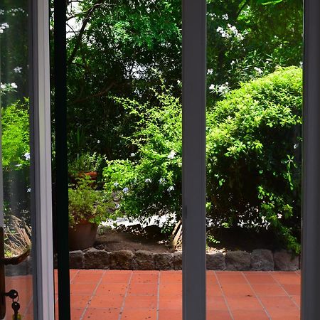 Il Giardino Selvatico Di Succellario - Apartments Barano dʼIschia Exterior foto